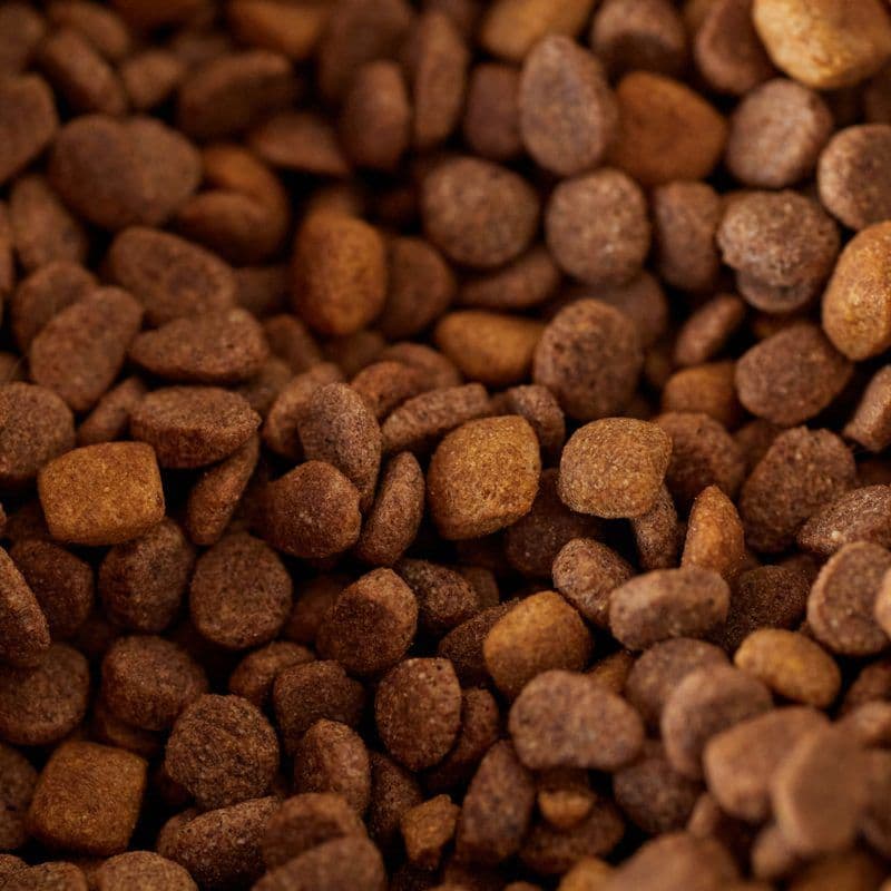 Pet Supplies